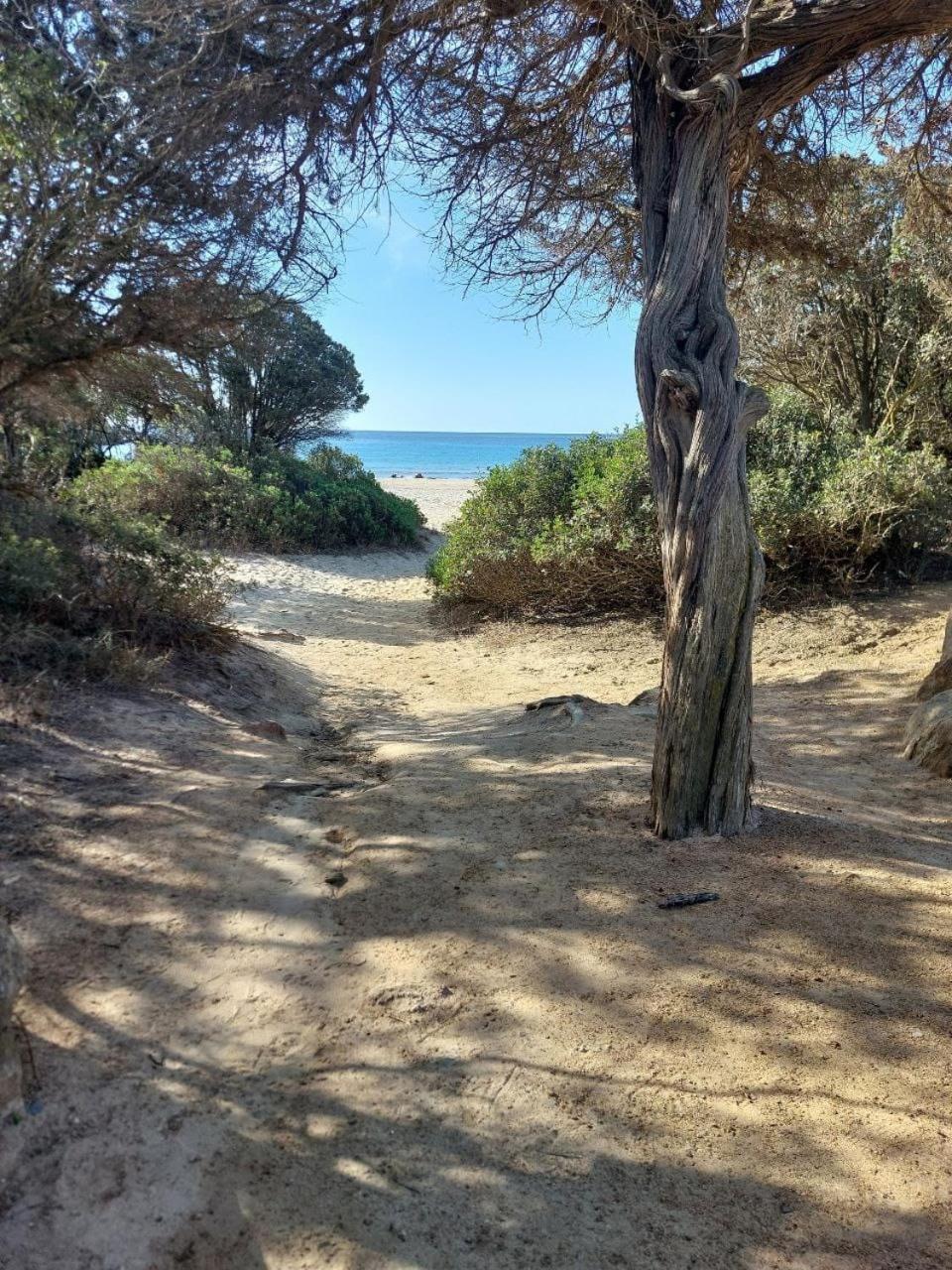 קיה Villa Margherita מראה חיצוני תמונה