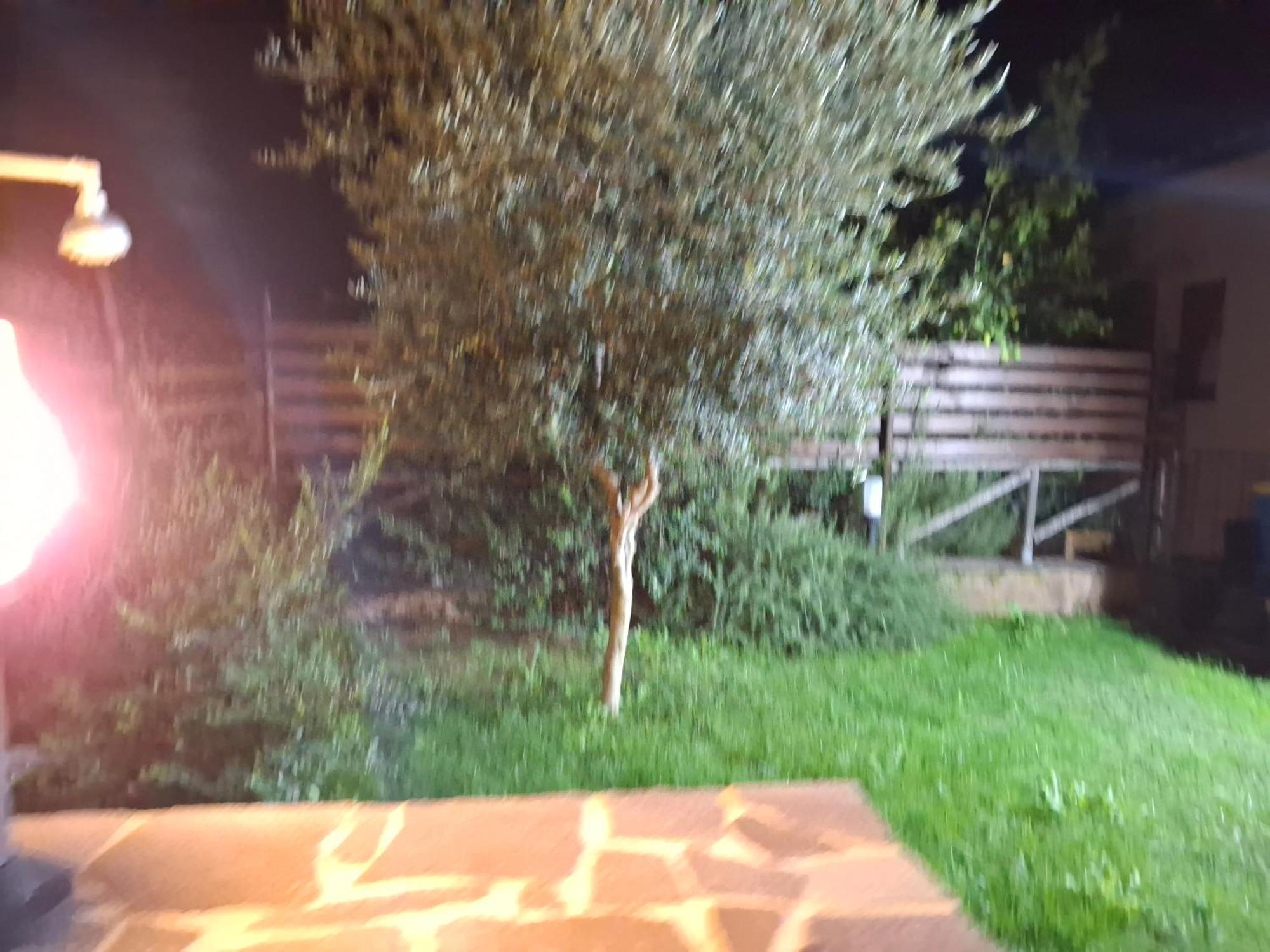 קיה Villa Margherita מראה חיצוני תמונה